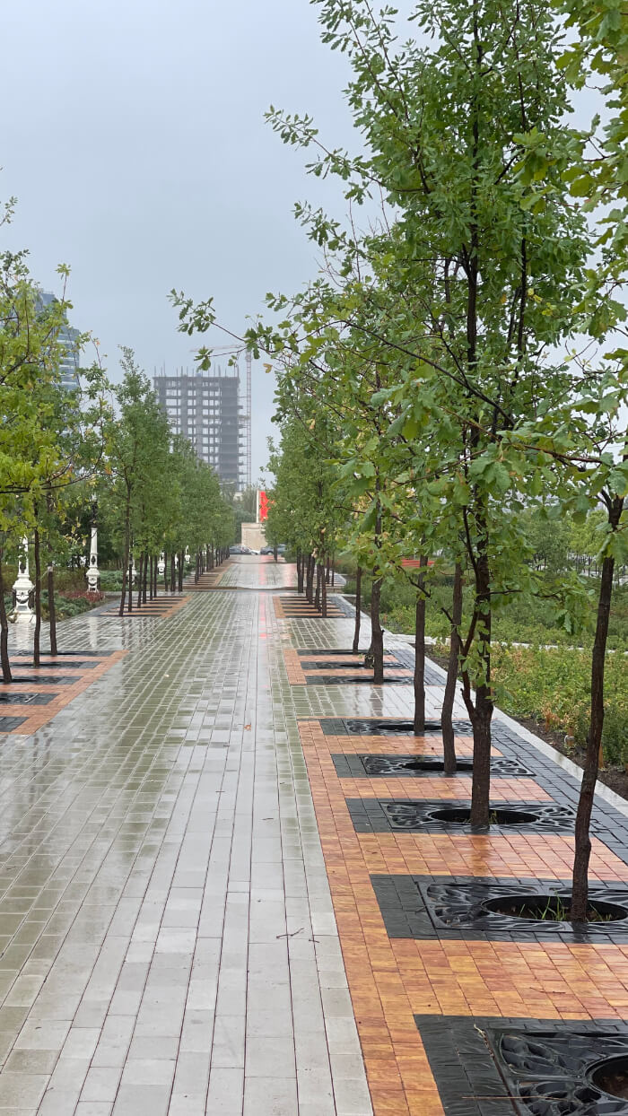 Приствольная решетка для дерева ZKING CRUST 1.2х1.2м Черная в Тольятти фото