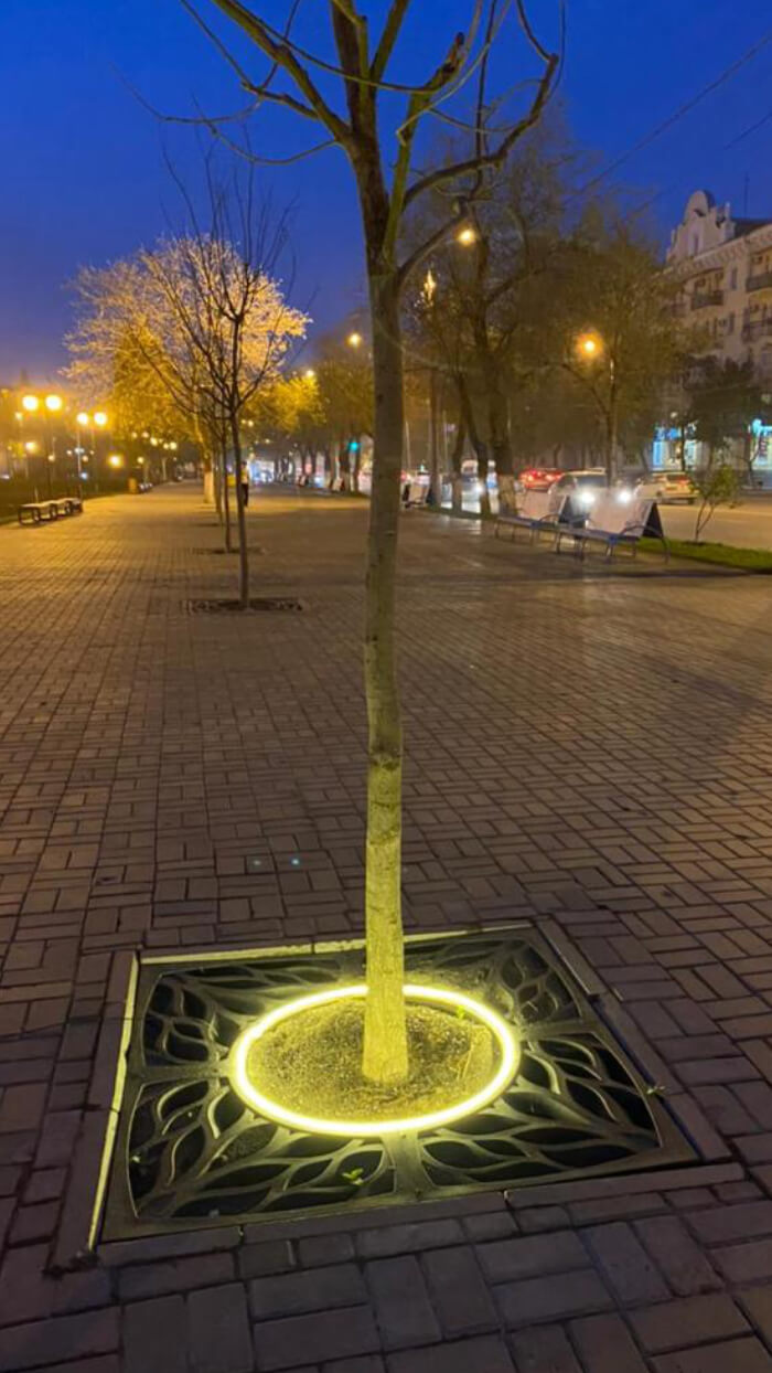 Приствольная решетка для дерева ZKING CRUST 1.2х1.2м Черная в Тольятти фото